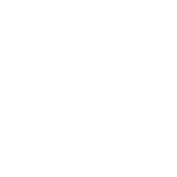 TikTok logo white